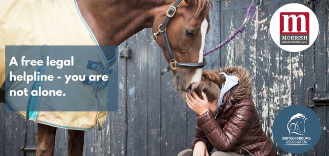 Free legal helpline for British Grooms Association Members