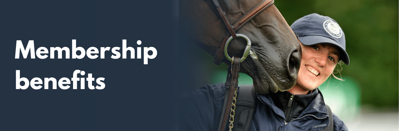 Grooms working with horses