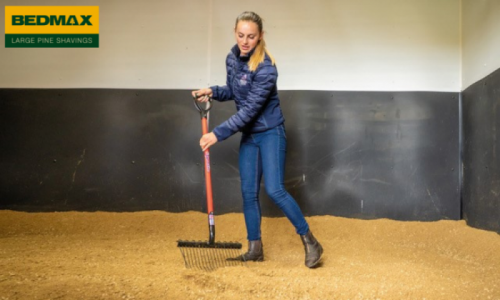 Grooms Life Article Image