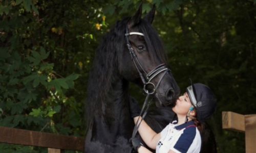 Grooms Life Article Image